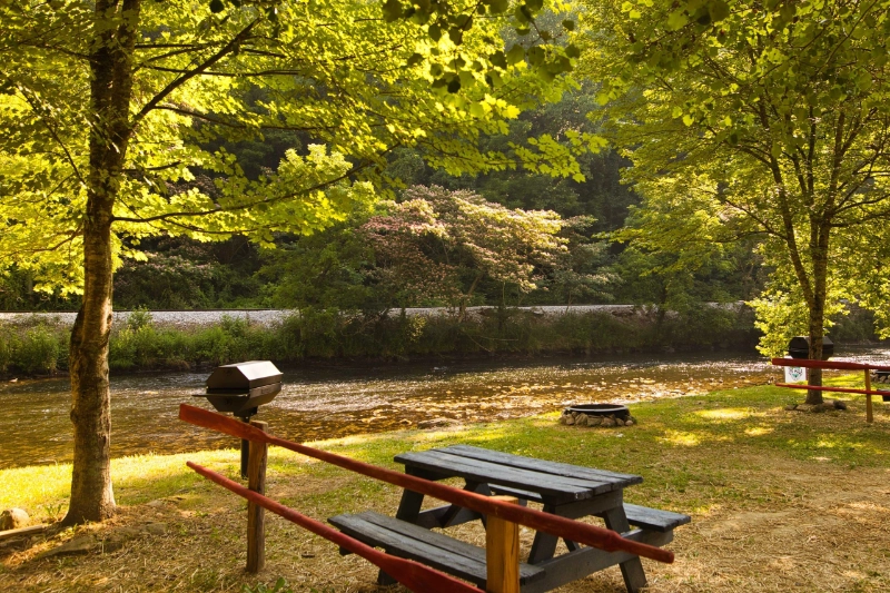 The HALA: Riverside Camping | Bryson City, North Carolina